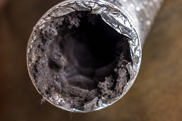 Best Affordable Air Duct Cleaning  in Ambridge, PA