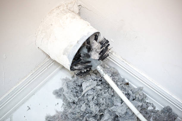 Best Dryer Vent Cleaning Services  in Ambridge, PA